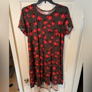 Lularoe Carly 2 xl t-shirt dress